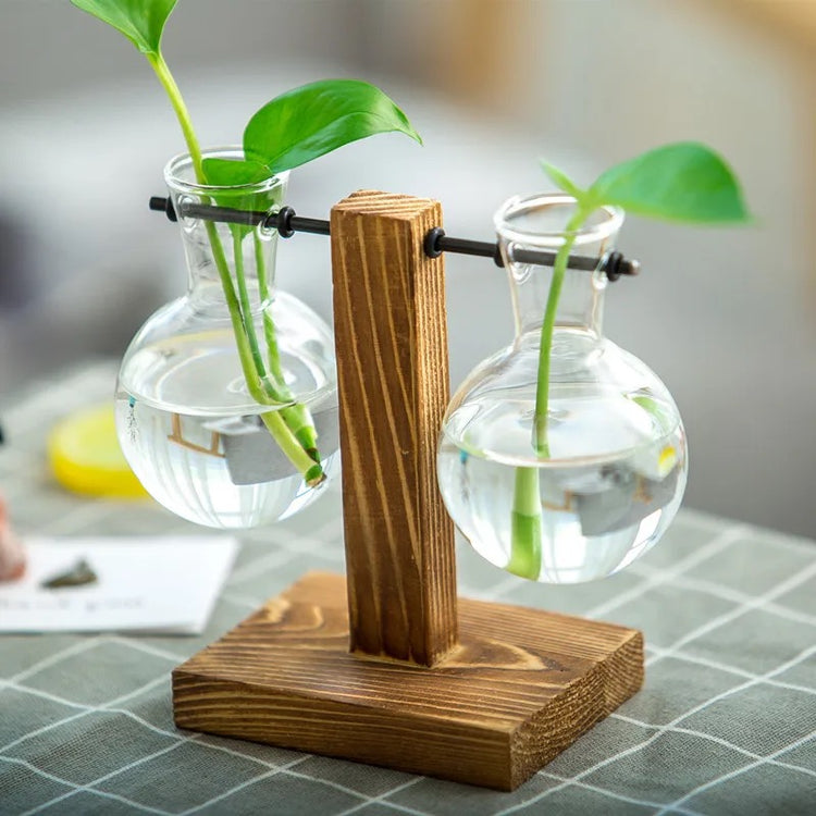 TEST TUBE PLANTERS🧪