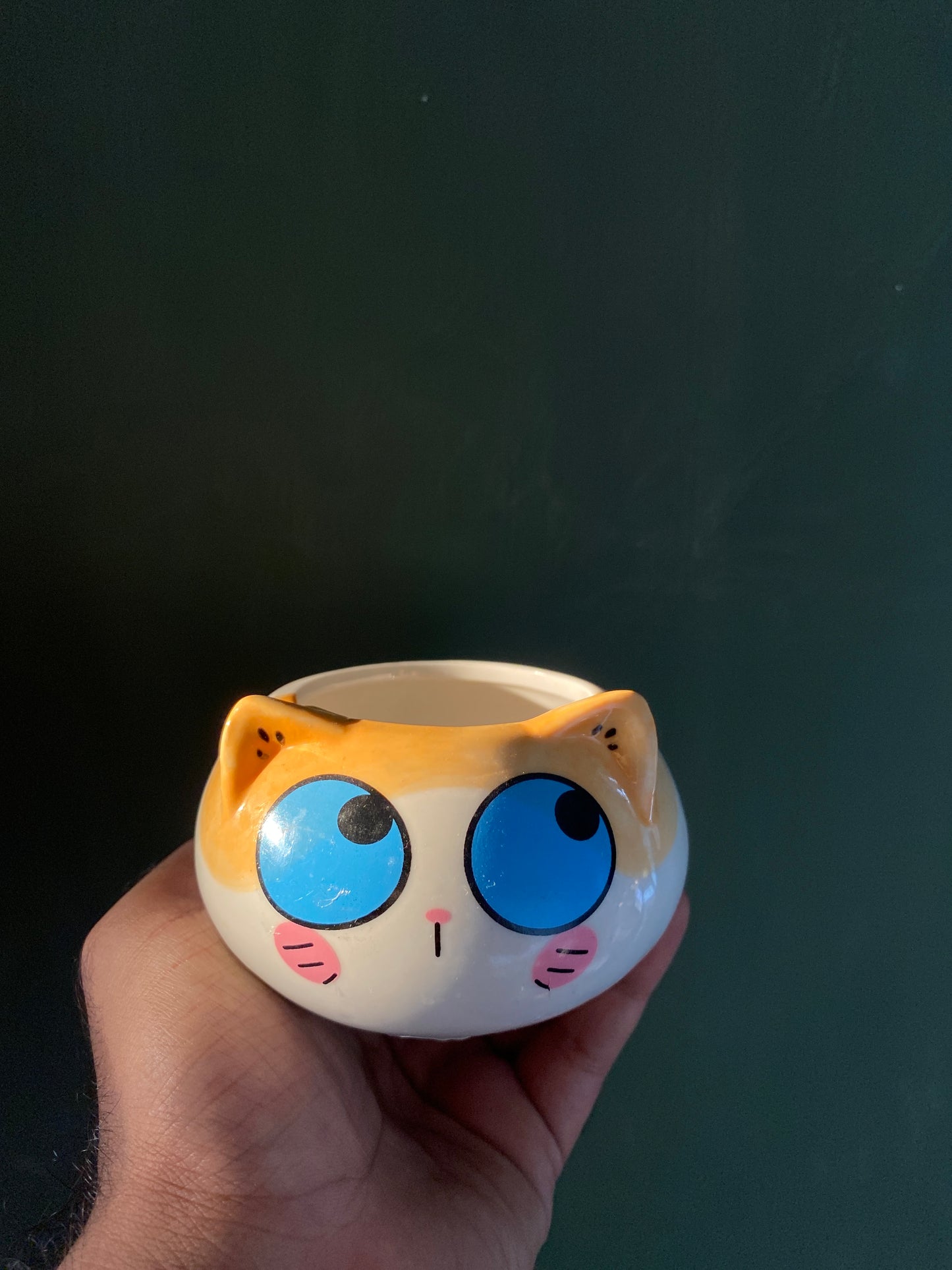 Cat ceramic planter