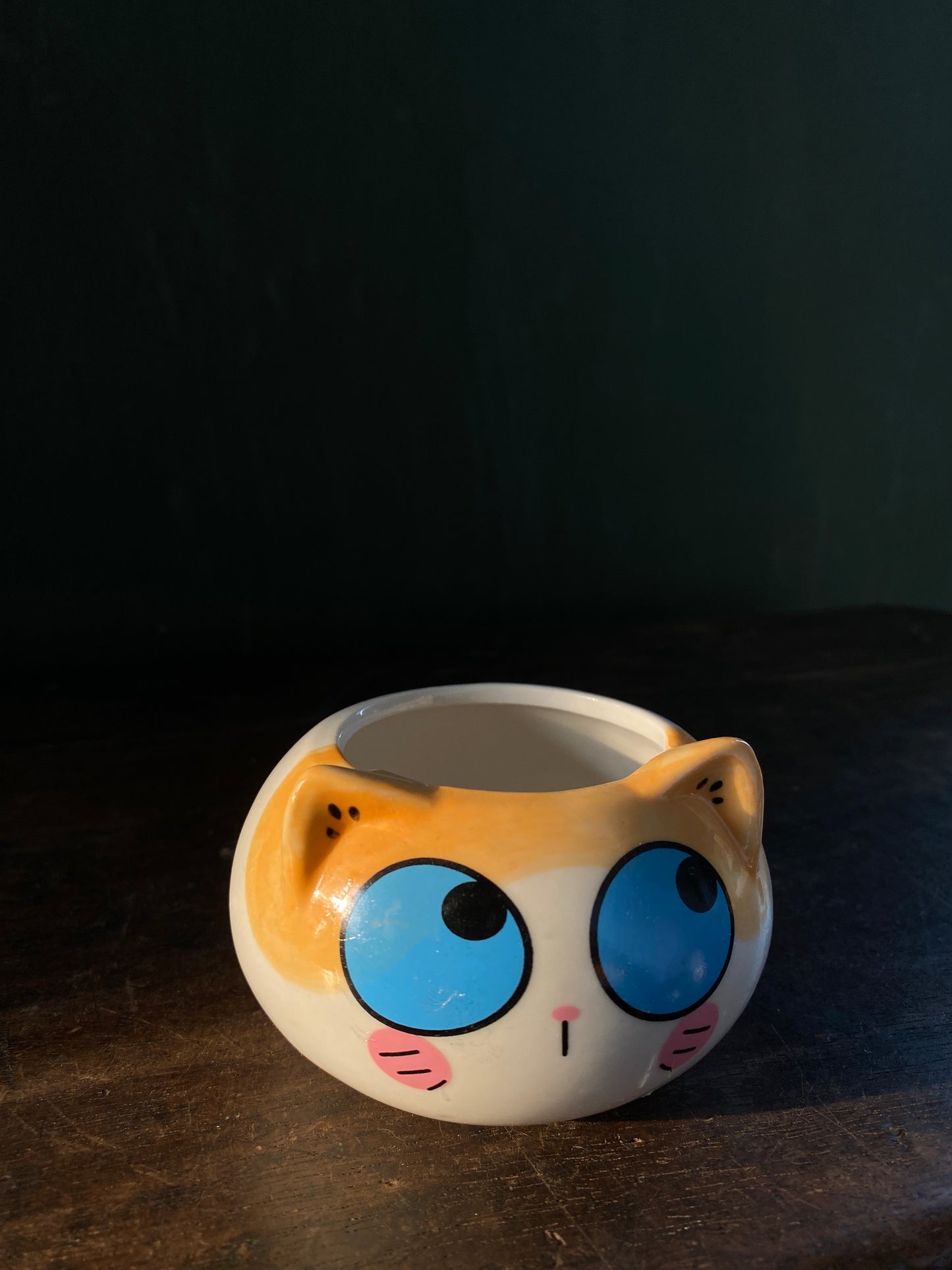 Cat ceramic planter