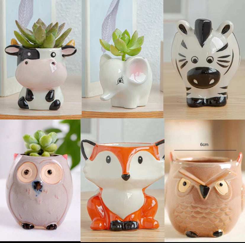 animal ceramic planter combos