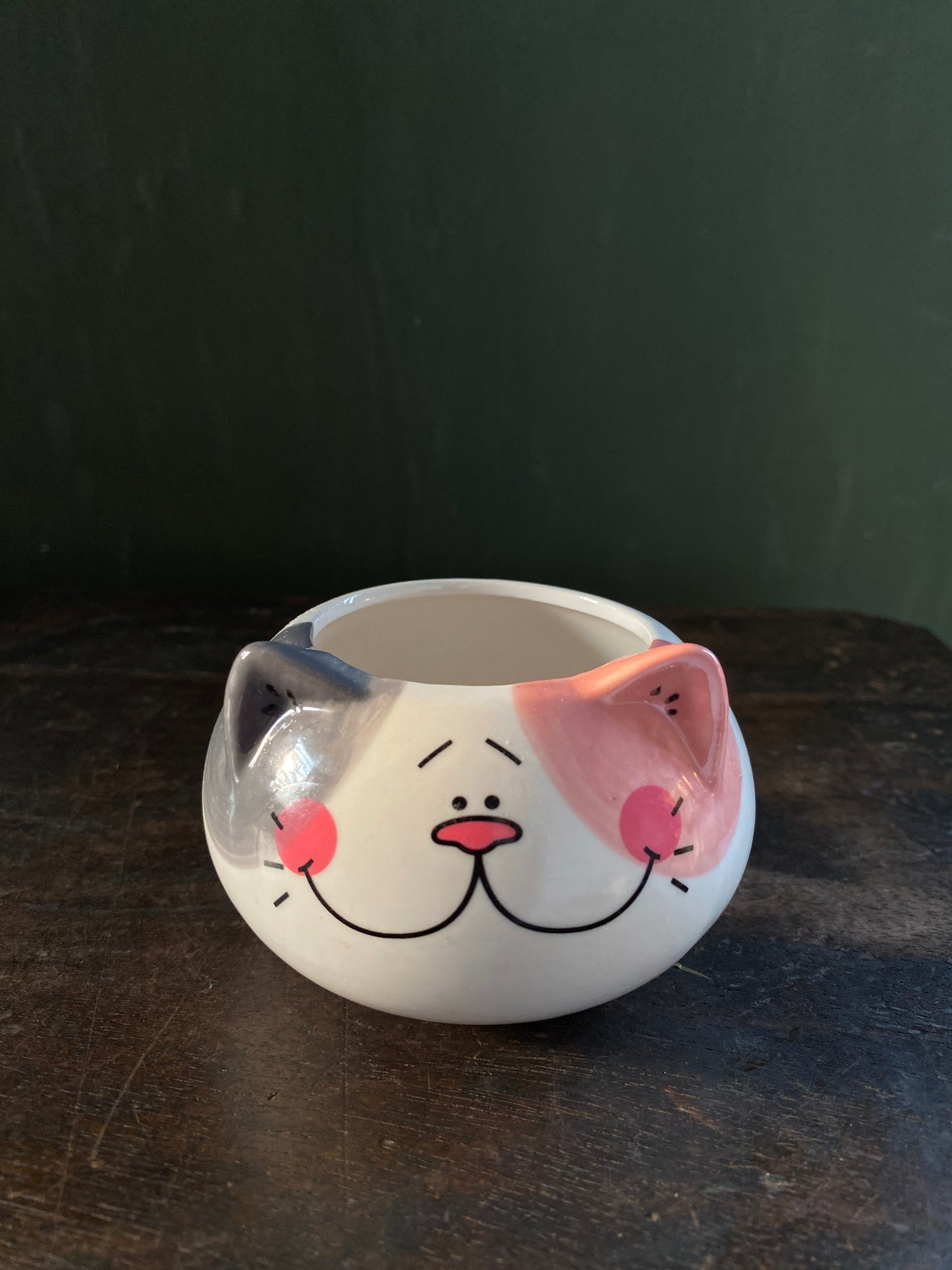 Cat ceramic planter
