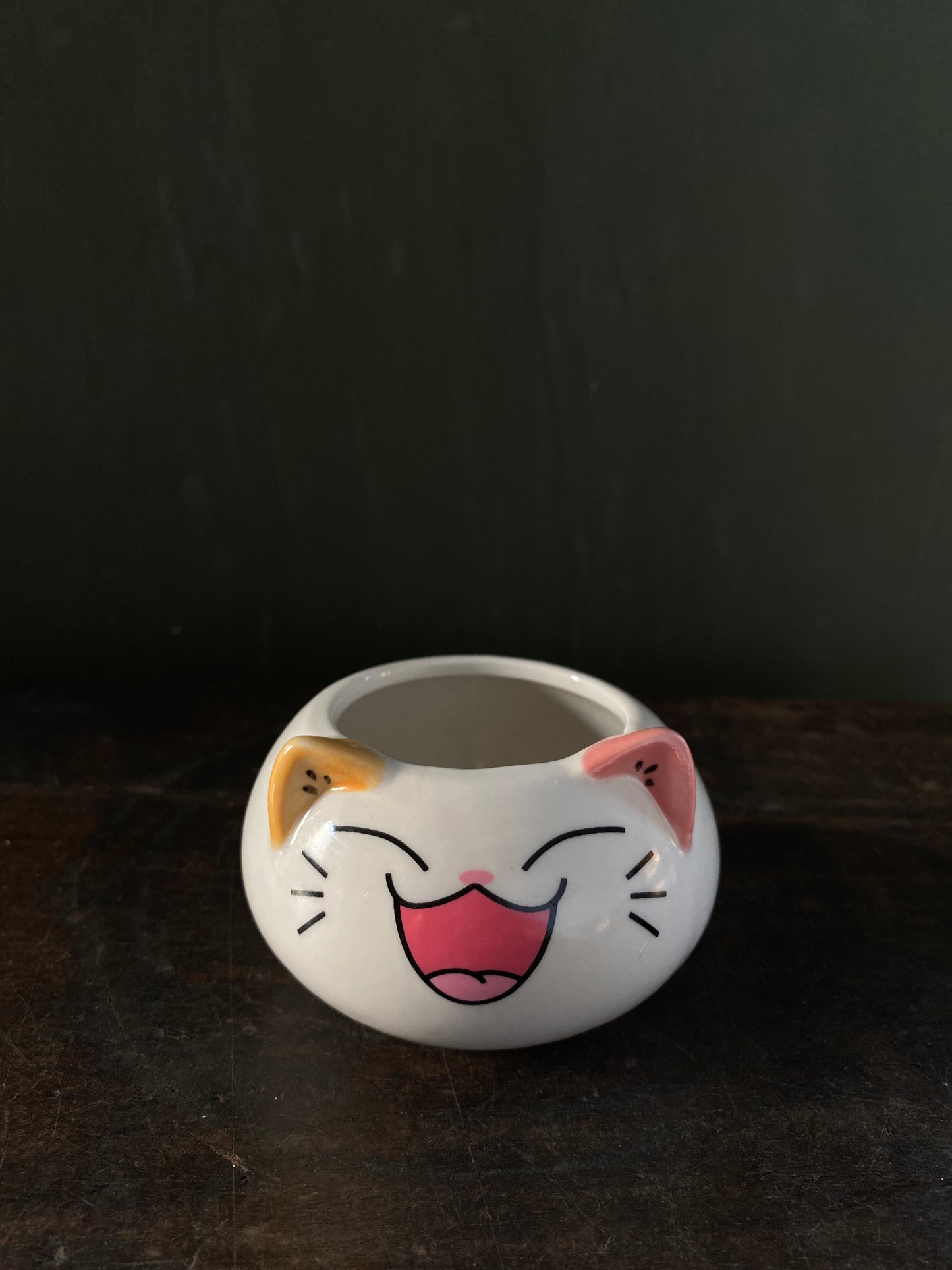 Cat ceramic planter