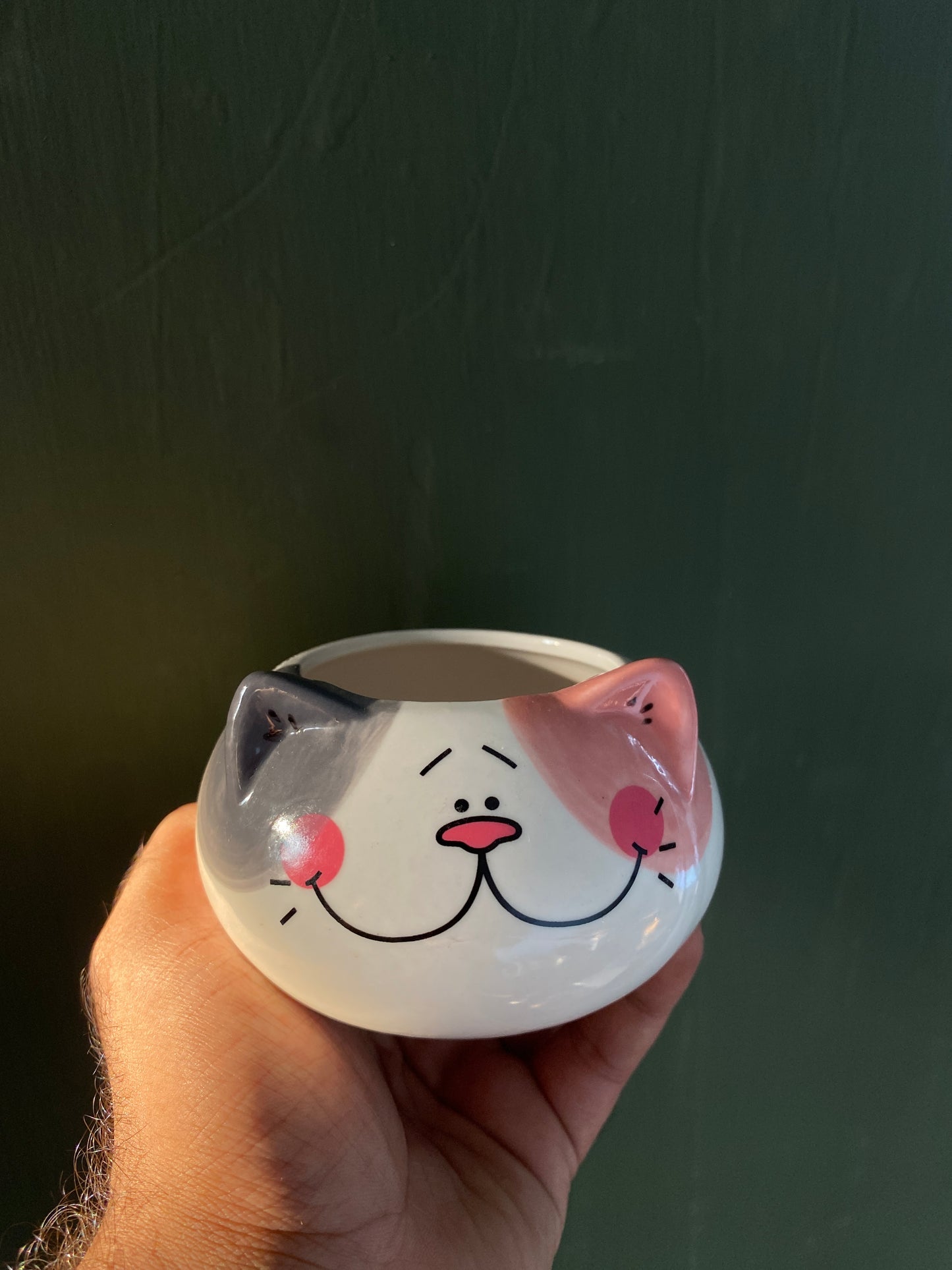 Cat ceramic planter