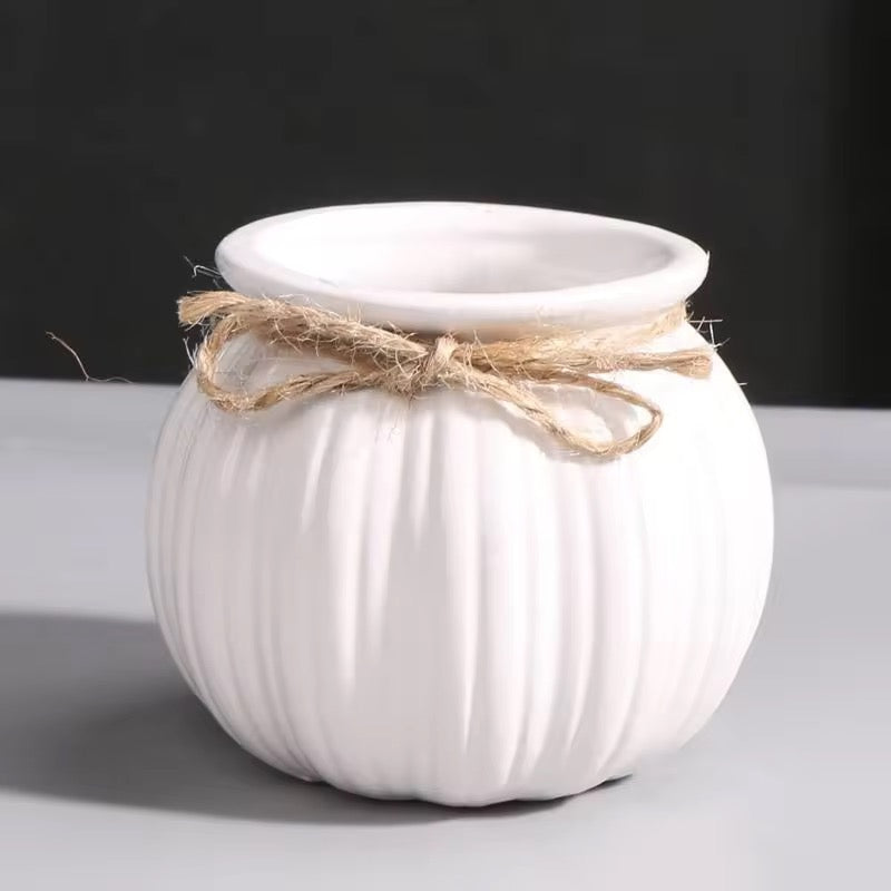 Small white rope planter