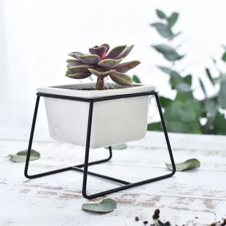 White square ceramic planter with metallic stand