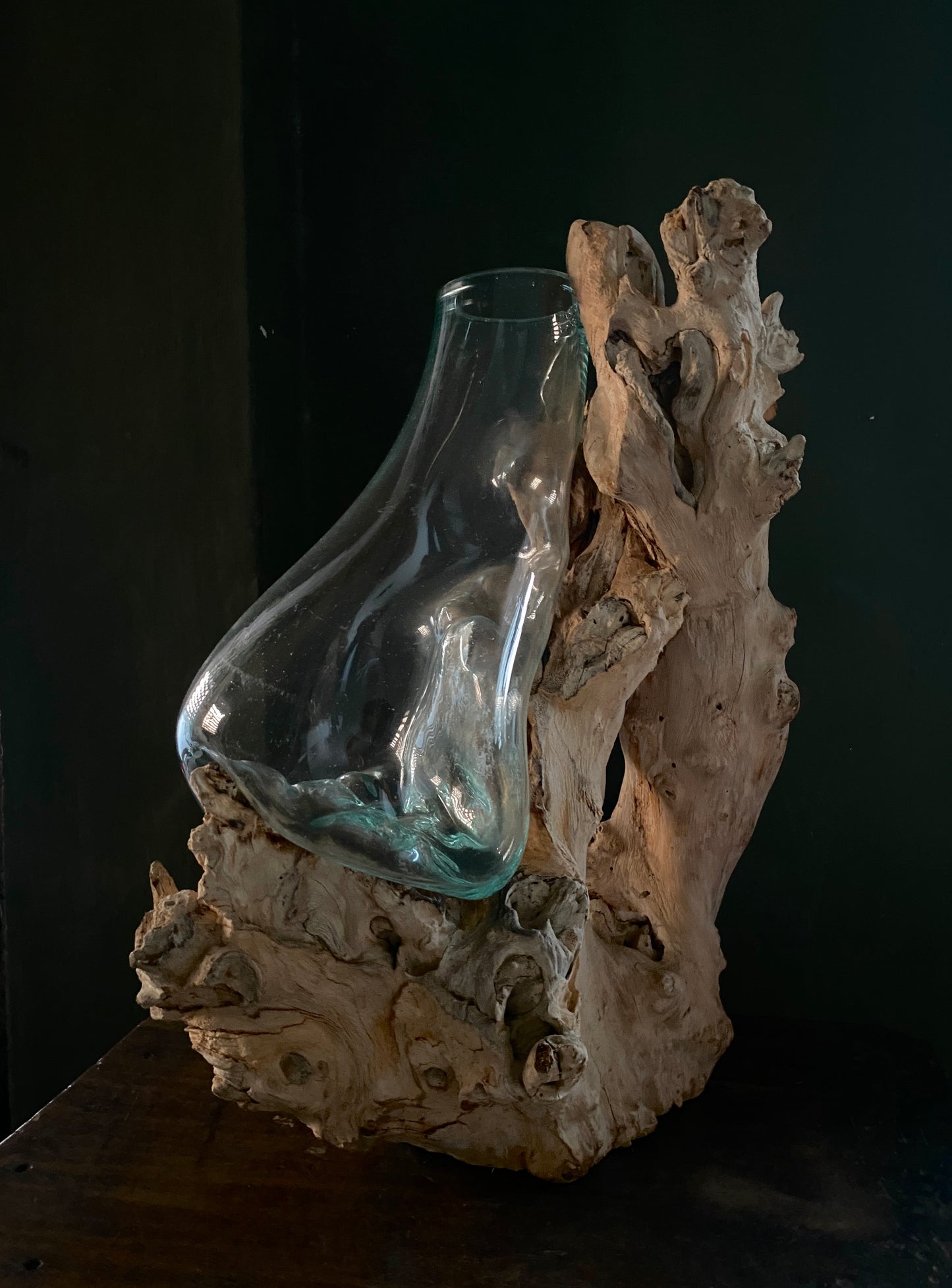 Big sized moltenglass on teak driftwood vase
