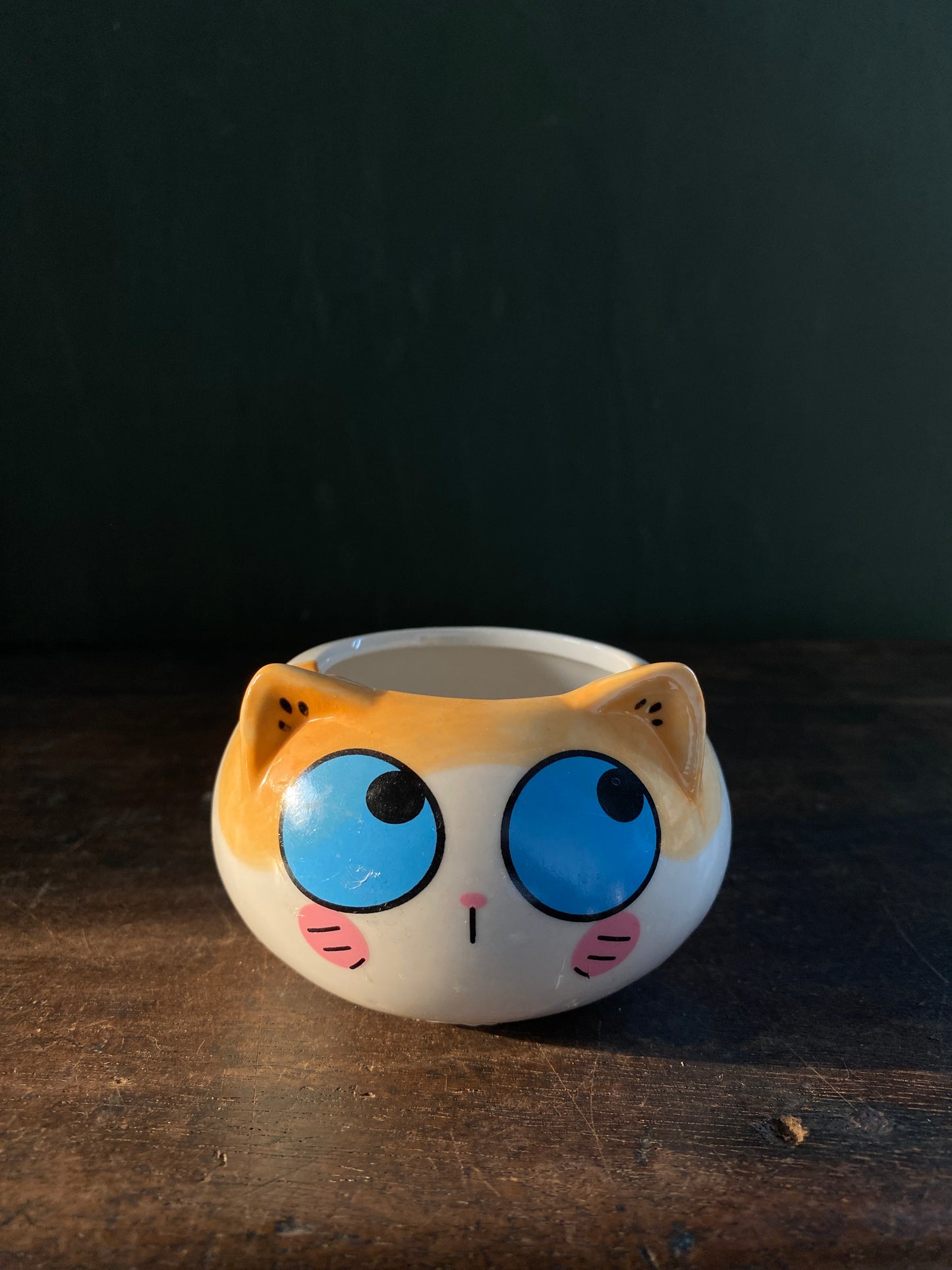 Cat ceramic planter