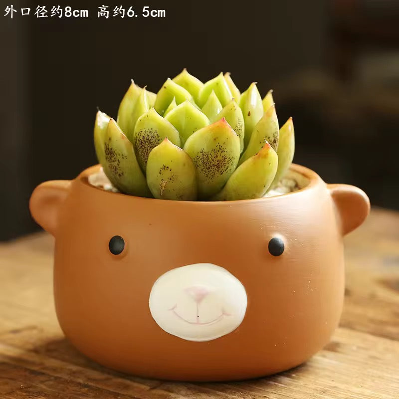 Brown bear ceramic planter