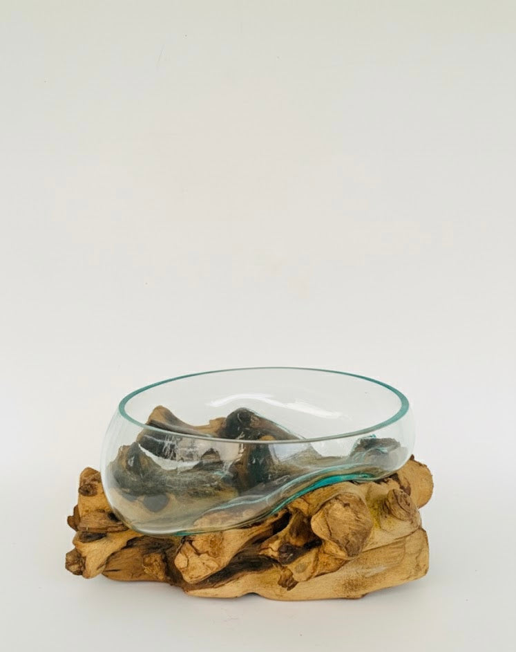 Molten Glass on teak Driftwood-Oceanbowl(large)