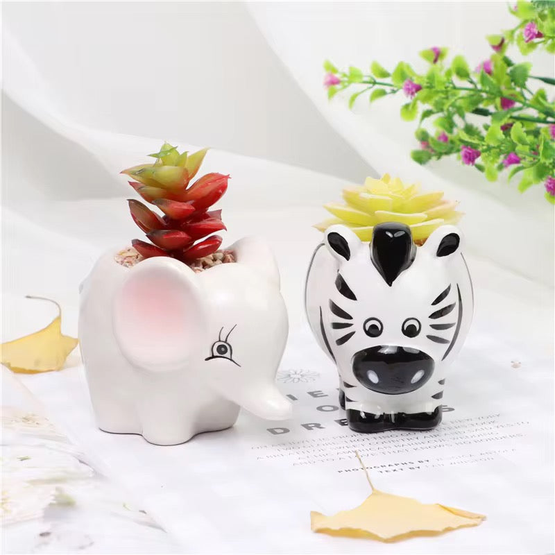 Elephant&zebra ceramic planter combo