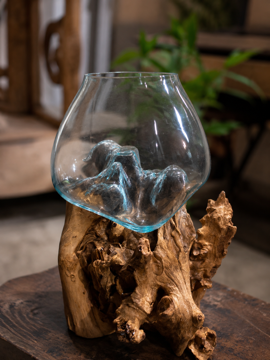 Wavecrest xl size Molten Glass on teak Driftwood
