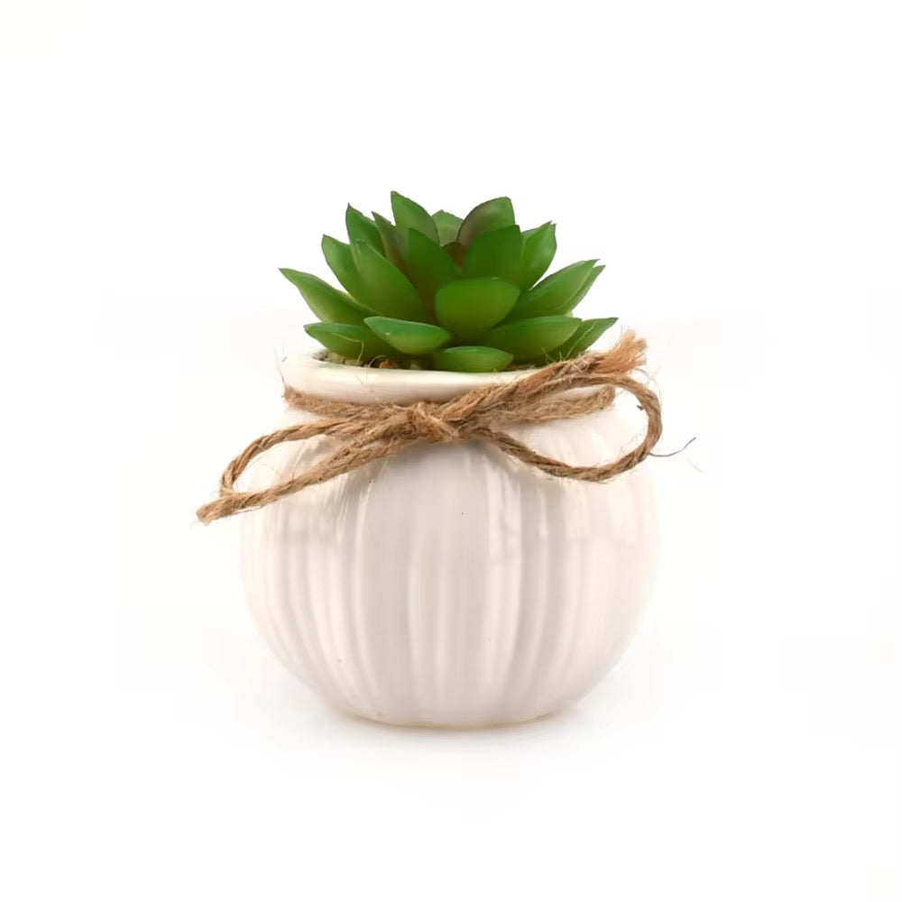 Small white rope planter