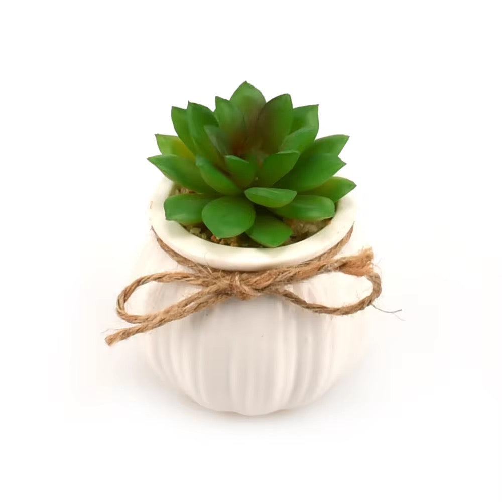Small white rope planter