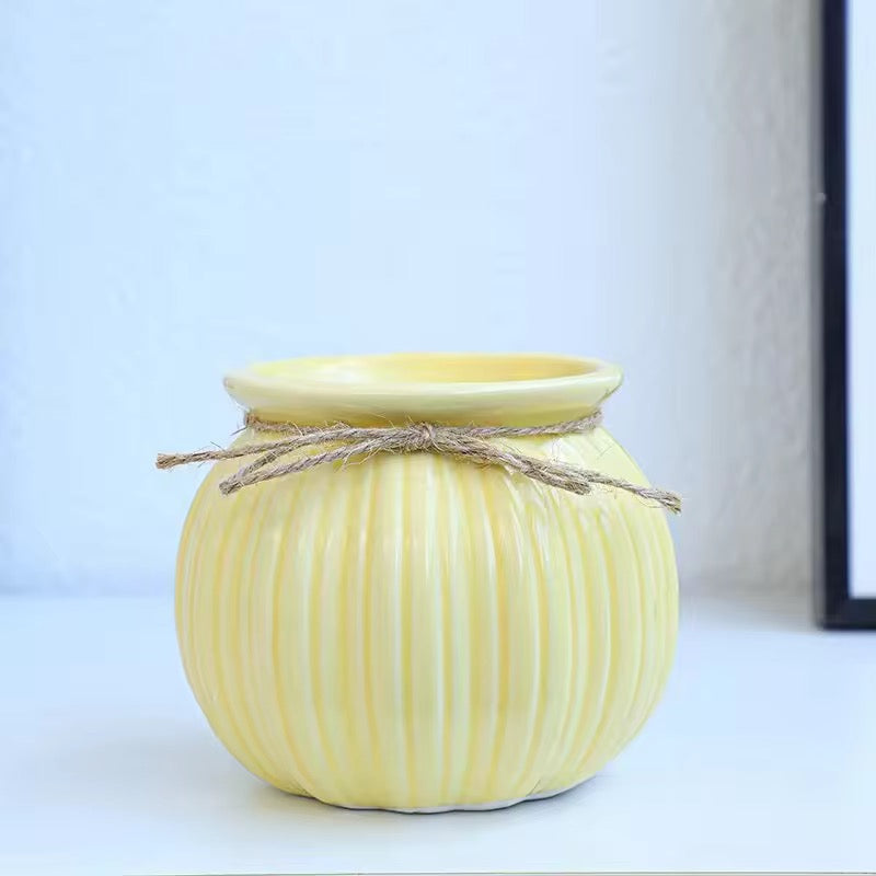 Small yellow rope planter