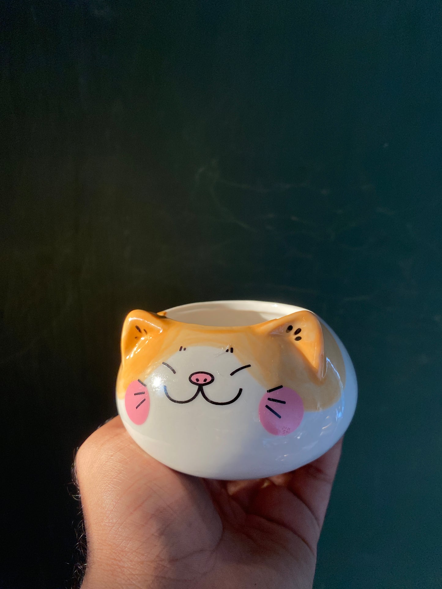 Cat ceramic planter