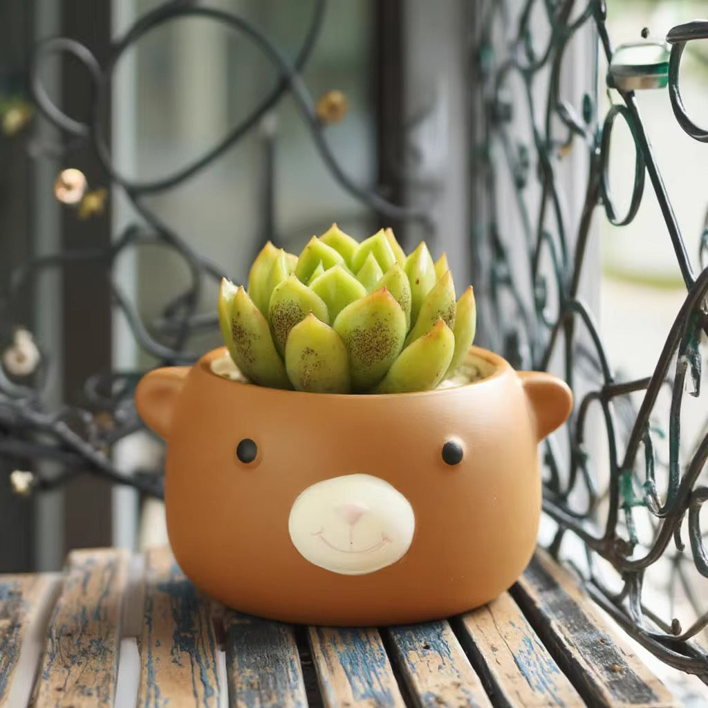 Brown bear ceramic planter