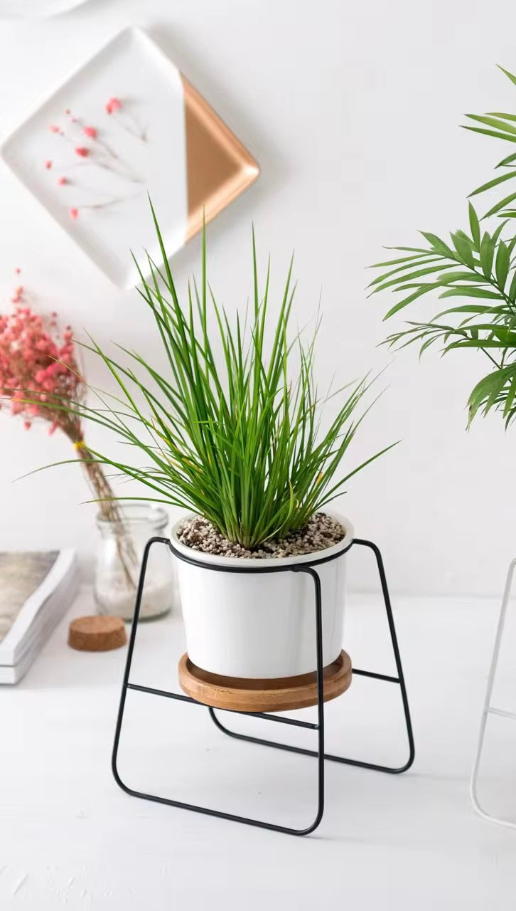 White ceramic planter with wooden base and metallic stand