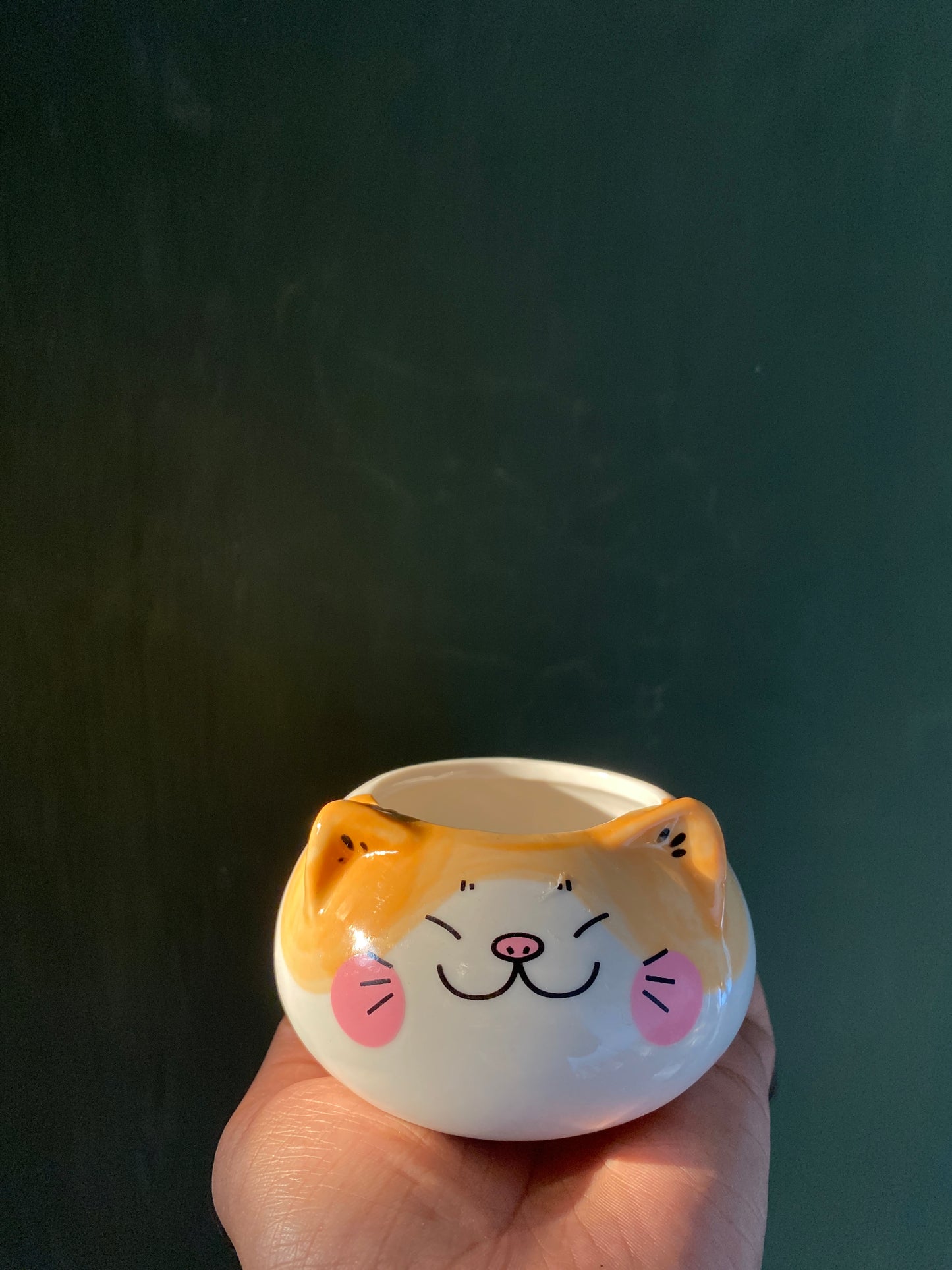 Cat ceramic planter