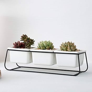 Set of 3 ceramic planter with metallic stand