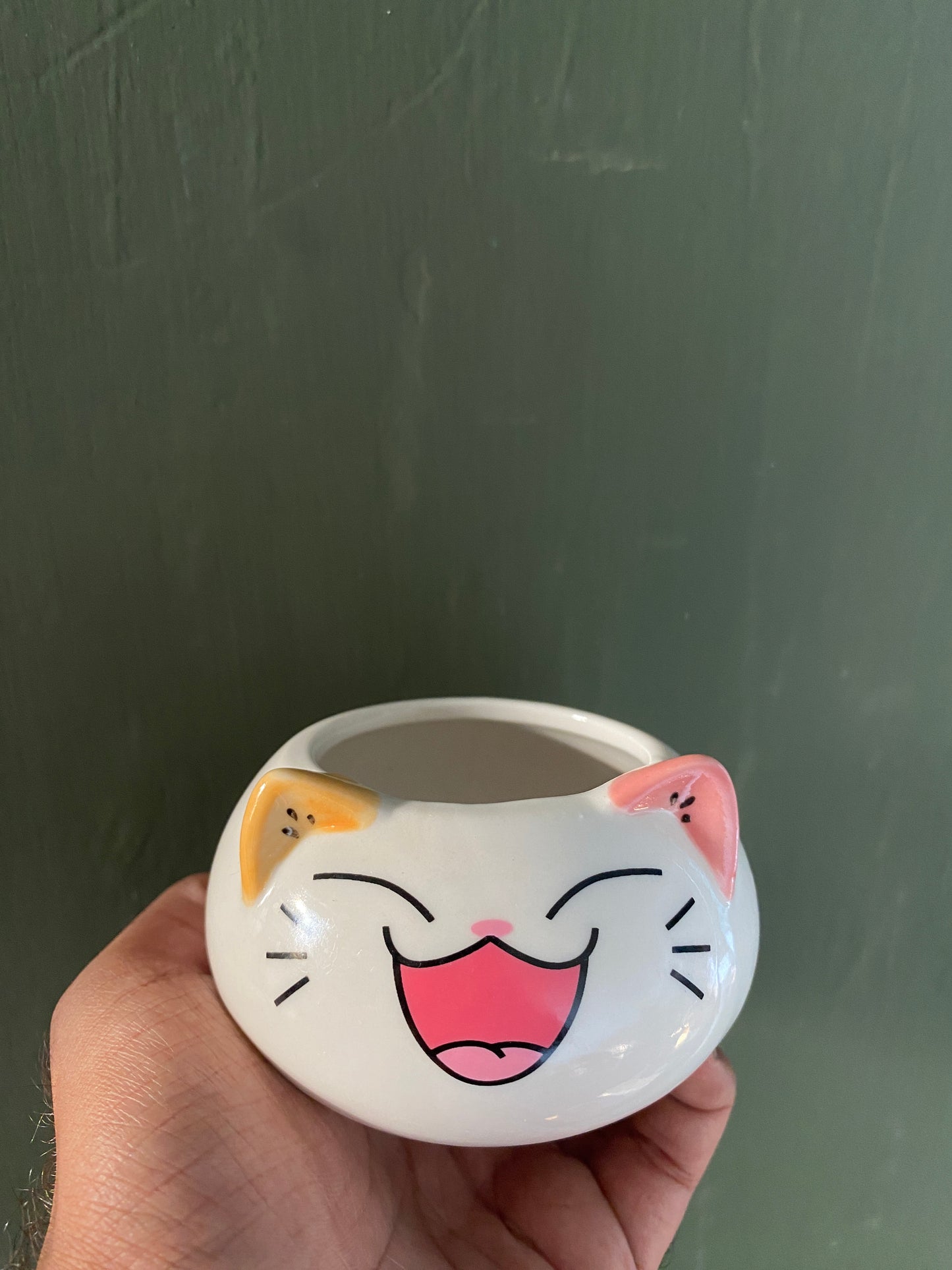 Cat ceramic planter