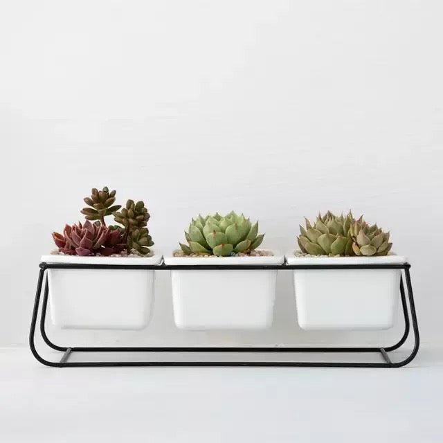 Set of 3 ceramic planter with metallic stand