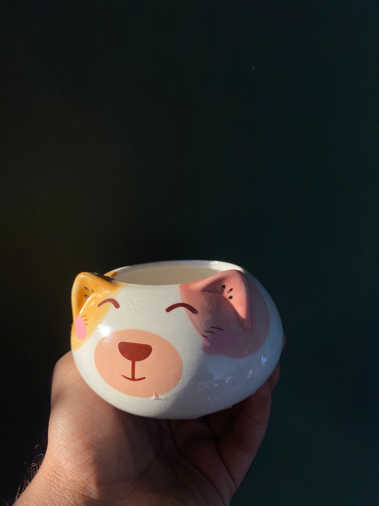 Bear ceramic planter