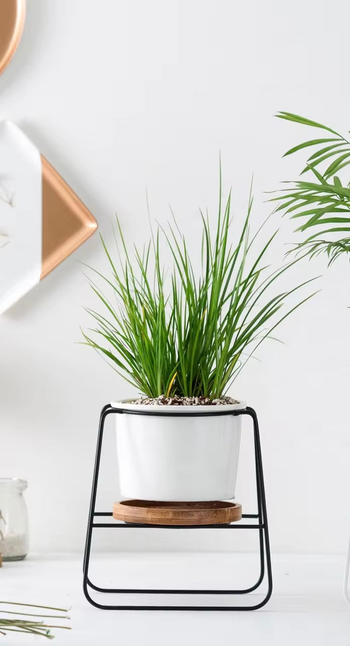 White ceramic planter with wooden base and metallic stand