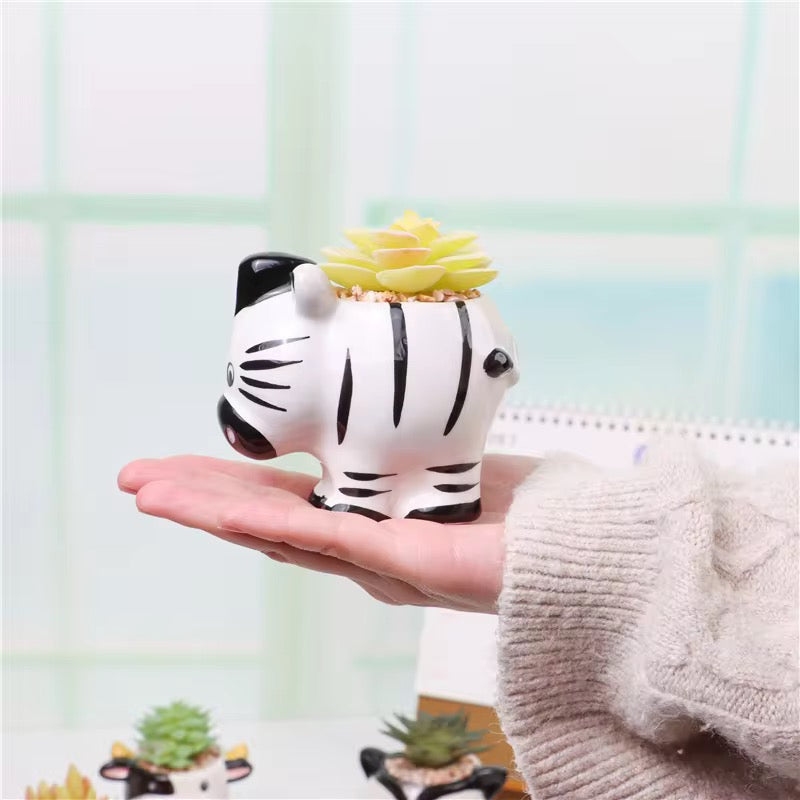Zebra ceramic planter