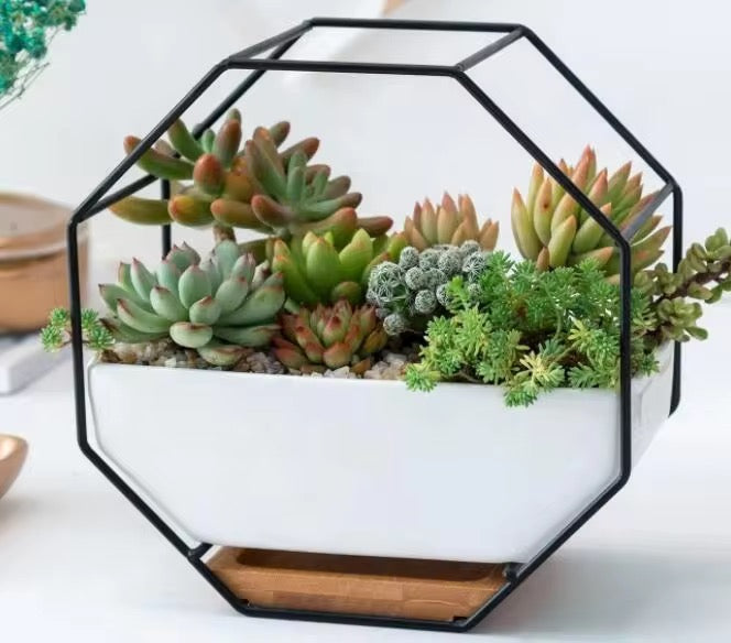 White ceramic planter with wooden base and metallic stand