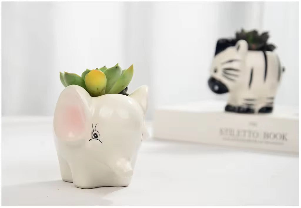 Elephant&zebra ceramic planter combo