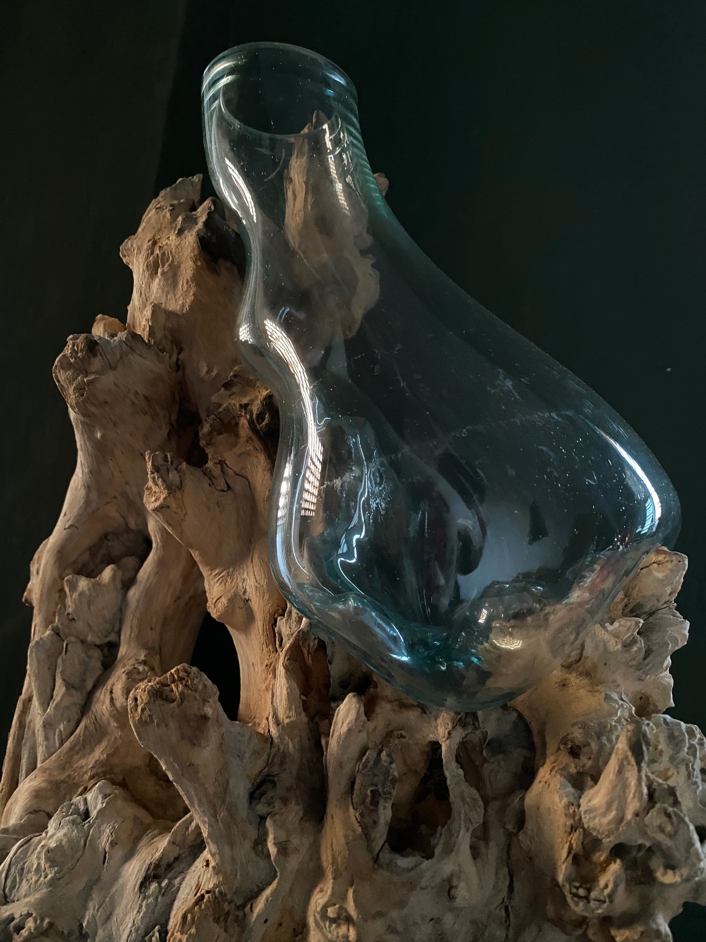 Big sized moltenglass on teak driftwood vase