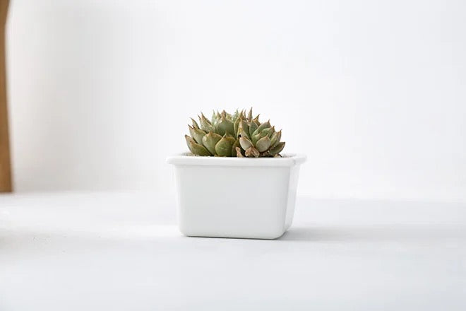 White square ceramic planter with metallic stand