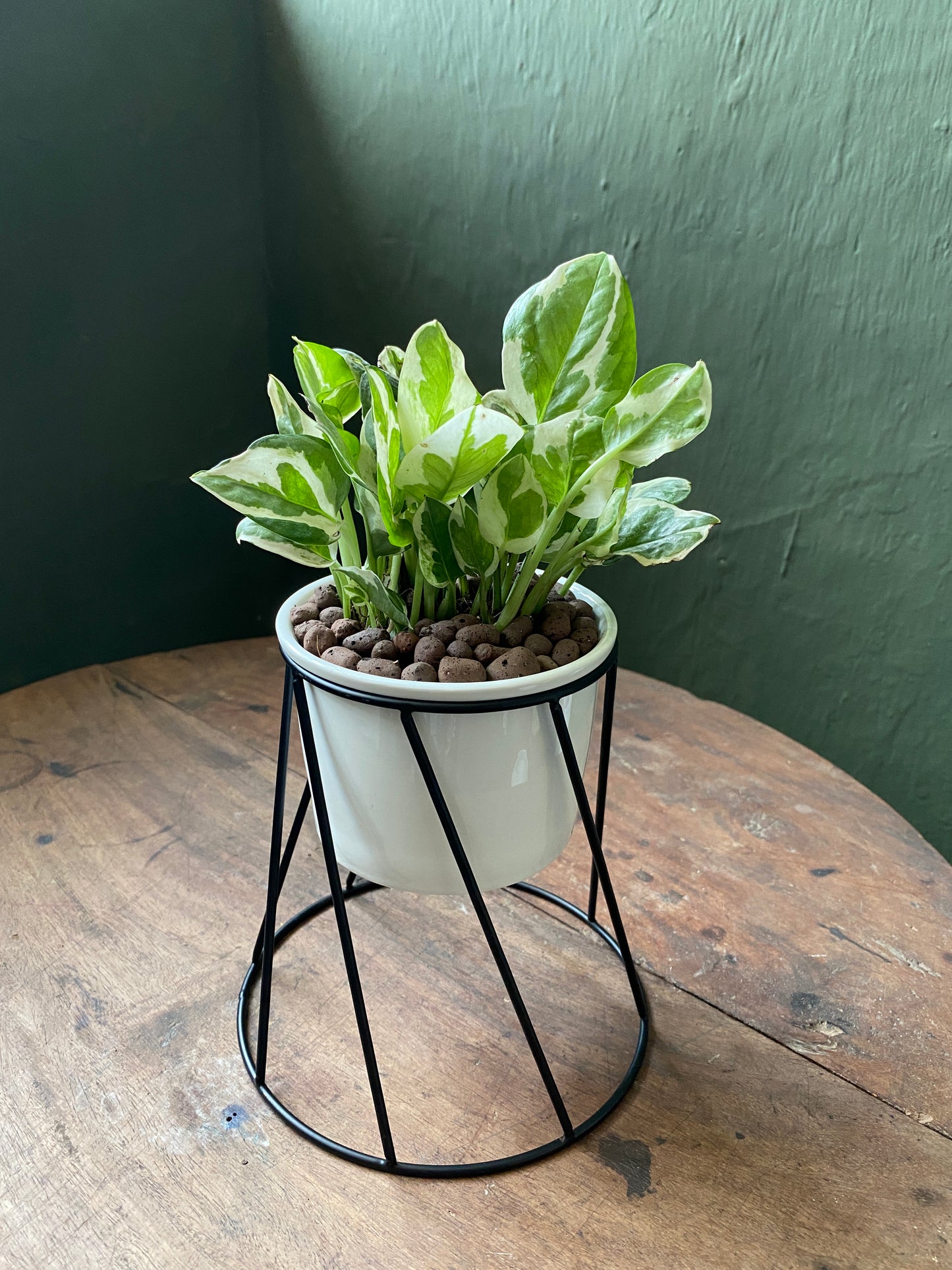 White ceramic planter with metallic stand