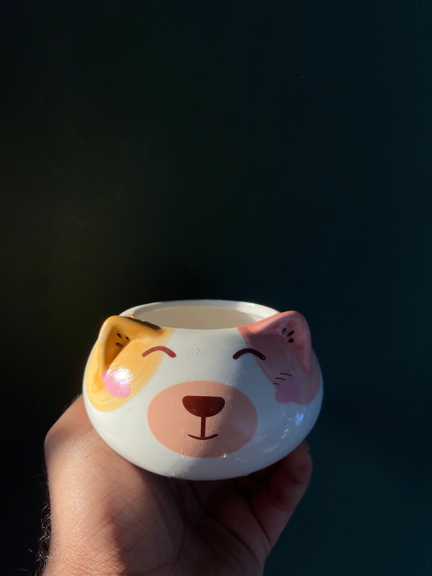 Bear ceramic planter