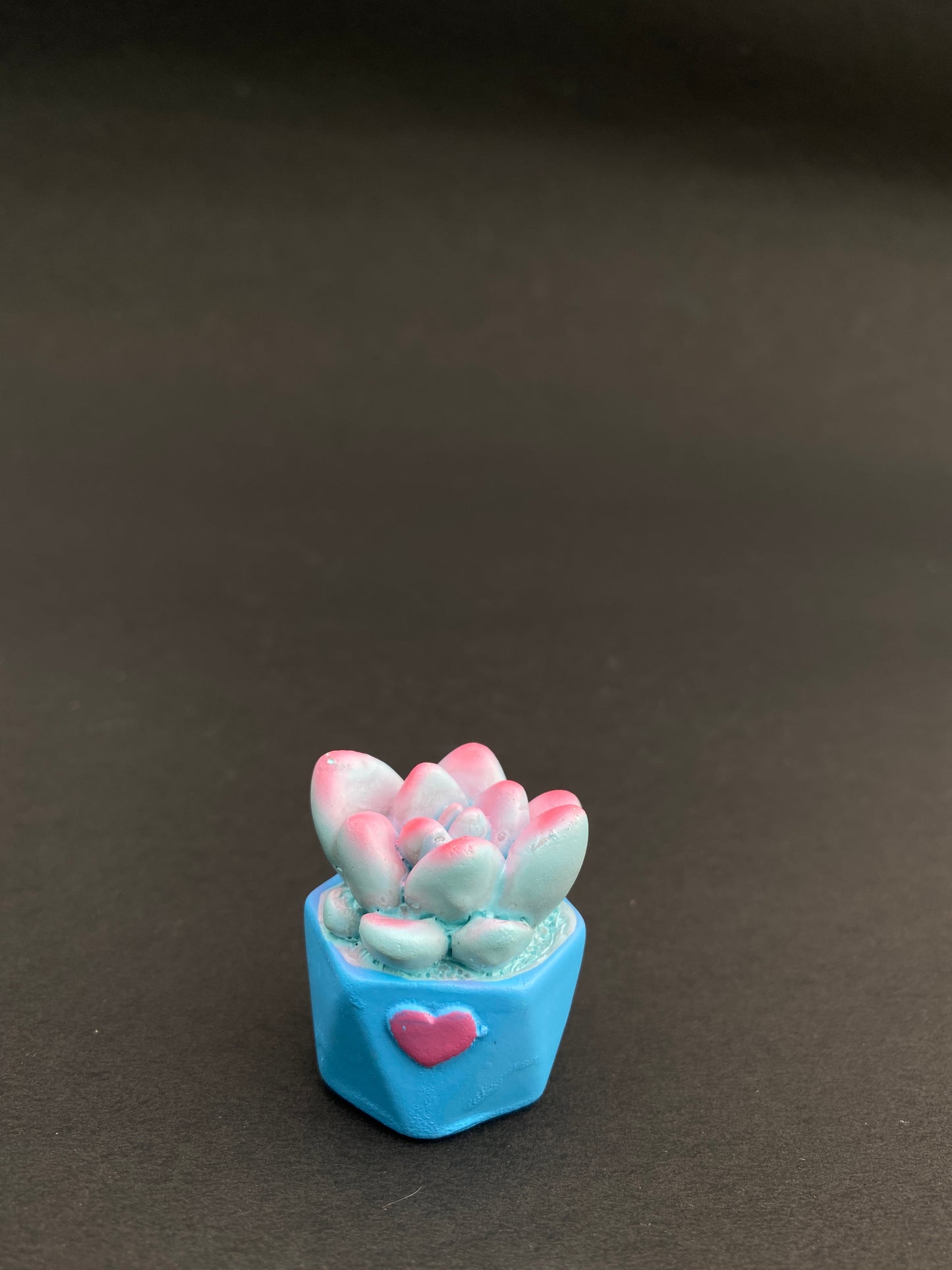 Set of 4 succulent polystone miniatures
