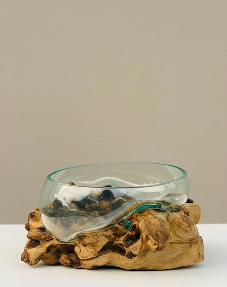 Molten Glass on teak Driftwood-Oceanbowl(large)