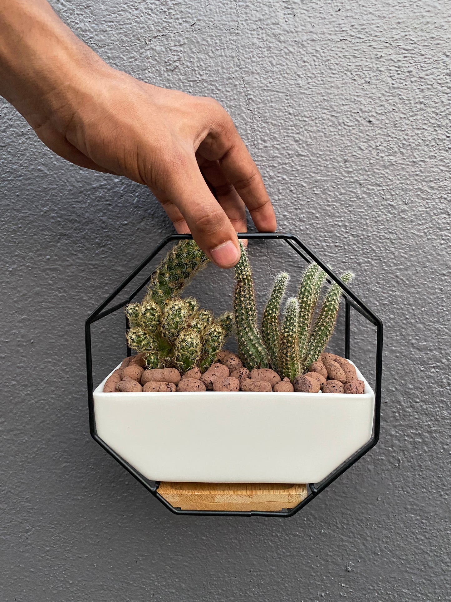 White ceramic planter with wooden base and metallic stand