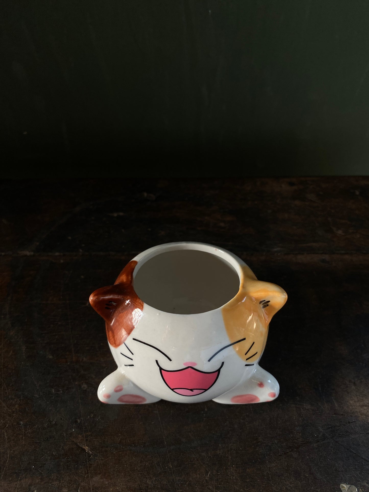 Cat ceramic planter