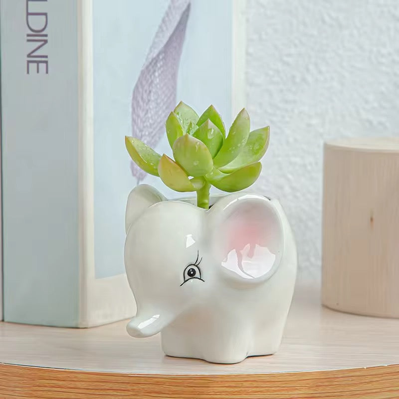 Elephant&zebra ceramic planter combo