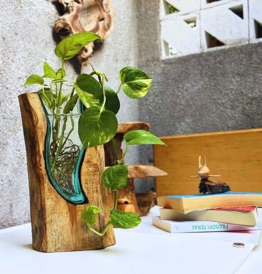Molten Glass on polished teak Driftwood-forestwall