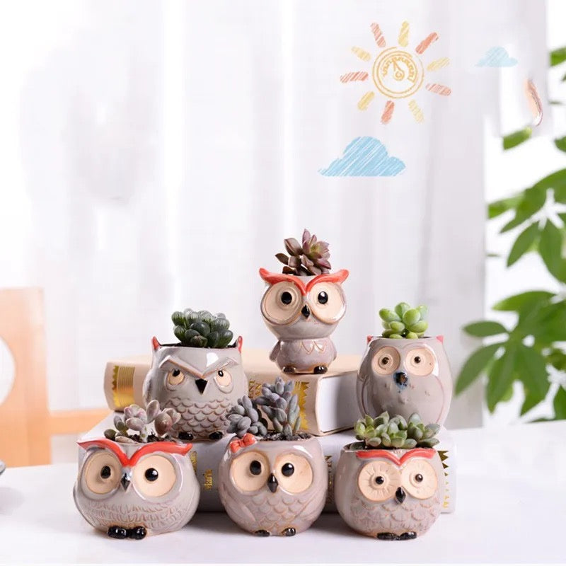 Owl themed ceramic Pots (SET OF 6)