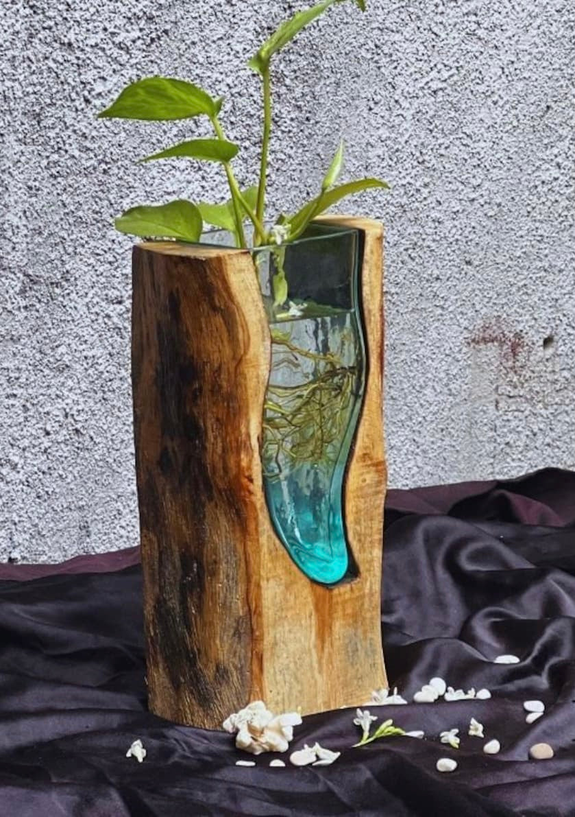 Molten Glass on polished teak Driftwood-forestwall