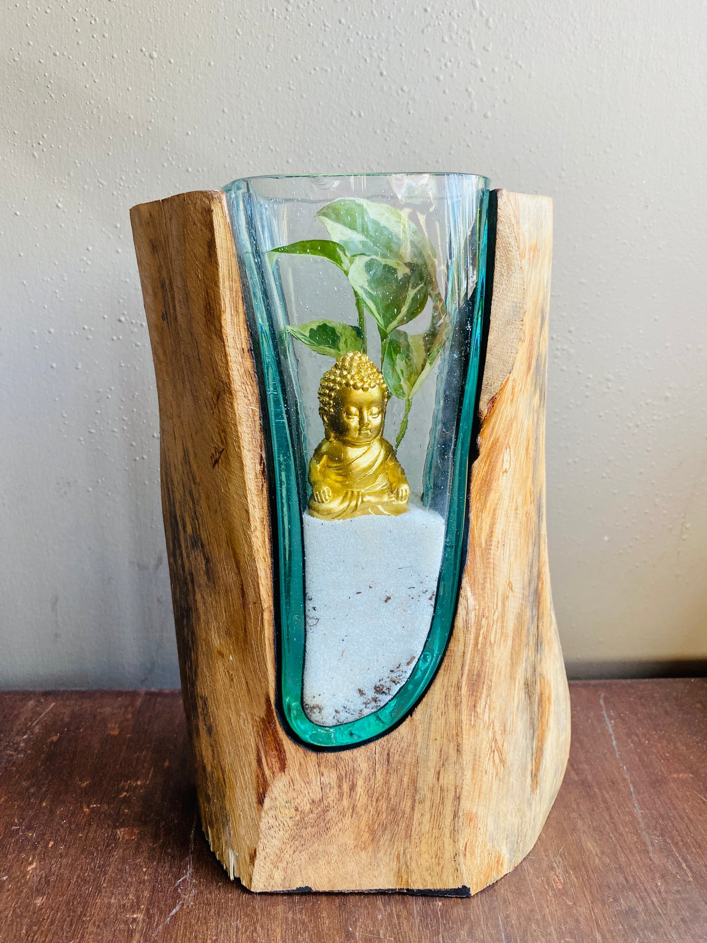 Molten Glass on polished teak Driftwood-forestwall
