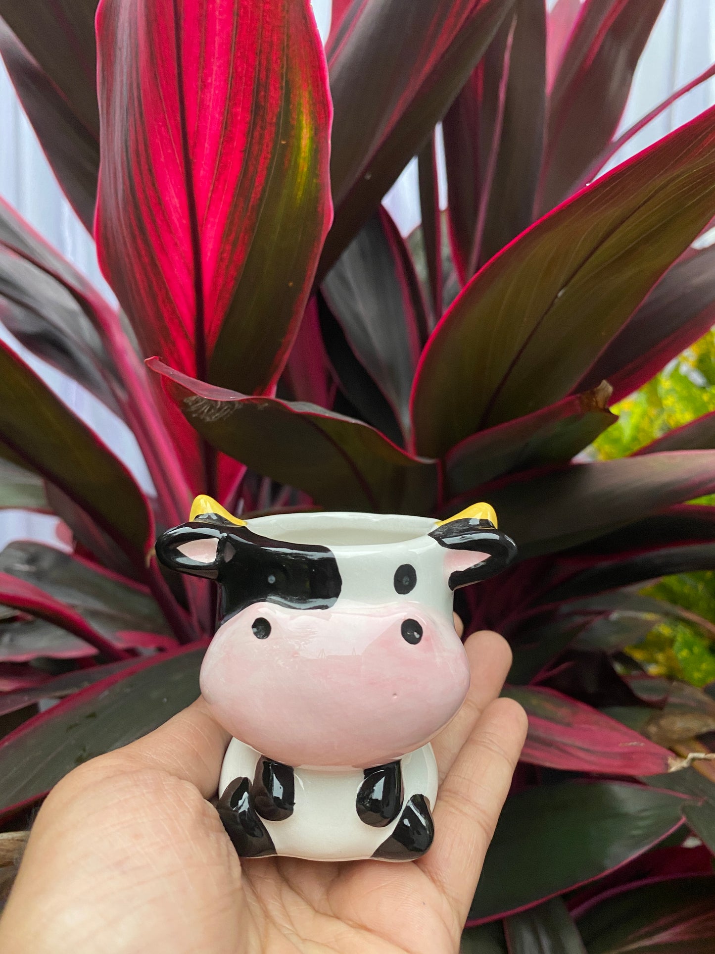 Cow ceramic planter