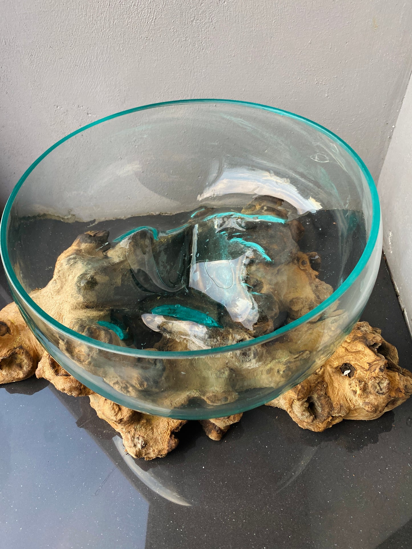Molten Glass on polished teak Driftwood-Oceanbowl(medium)