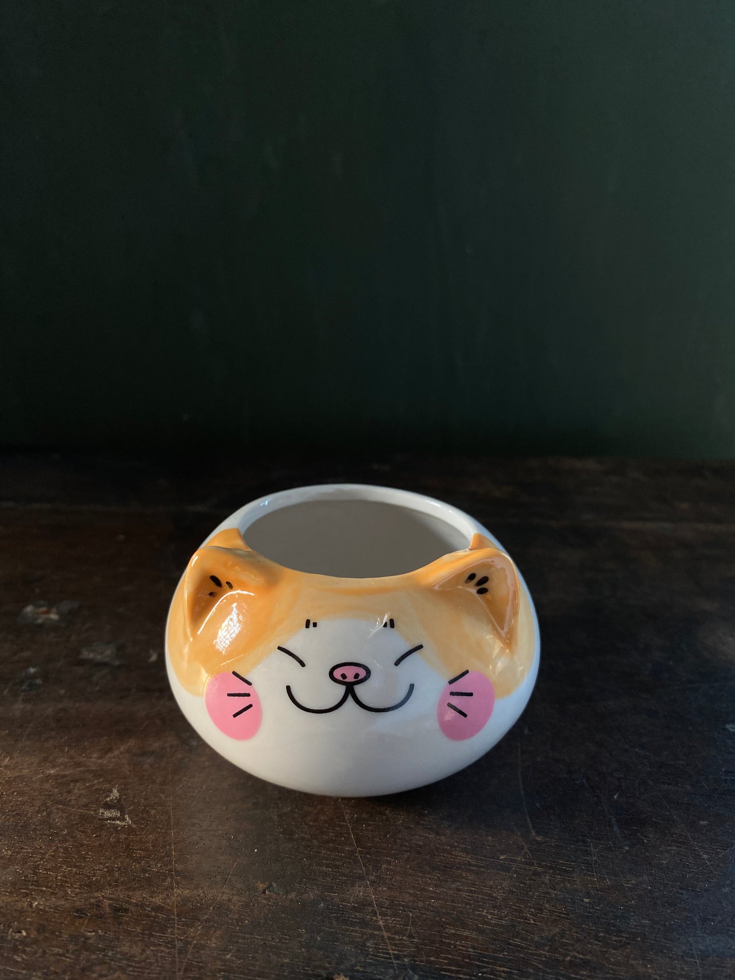 Cat ceramic planter
