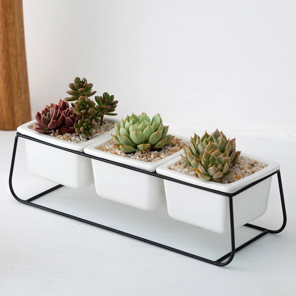 Set of 3 ceramic planter with metallic stand