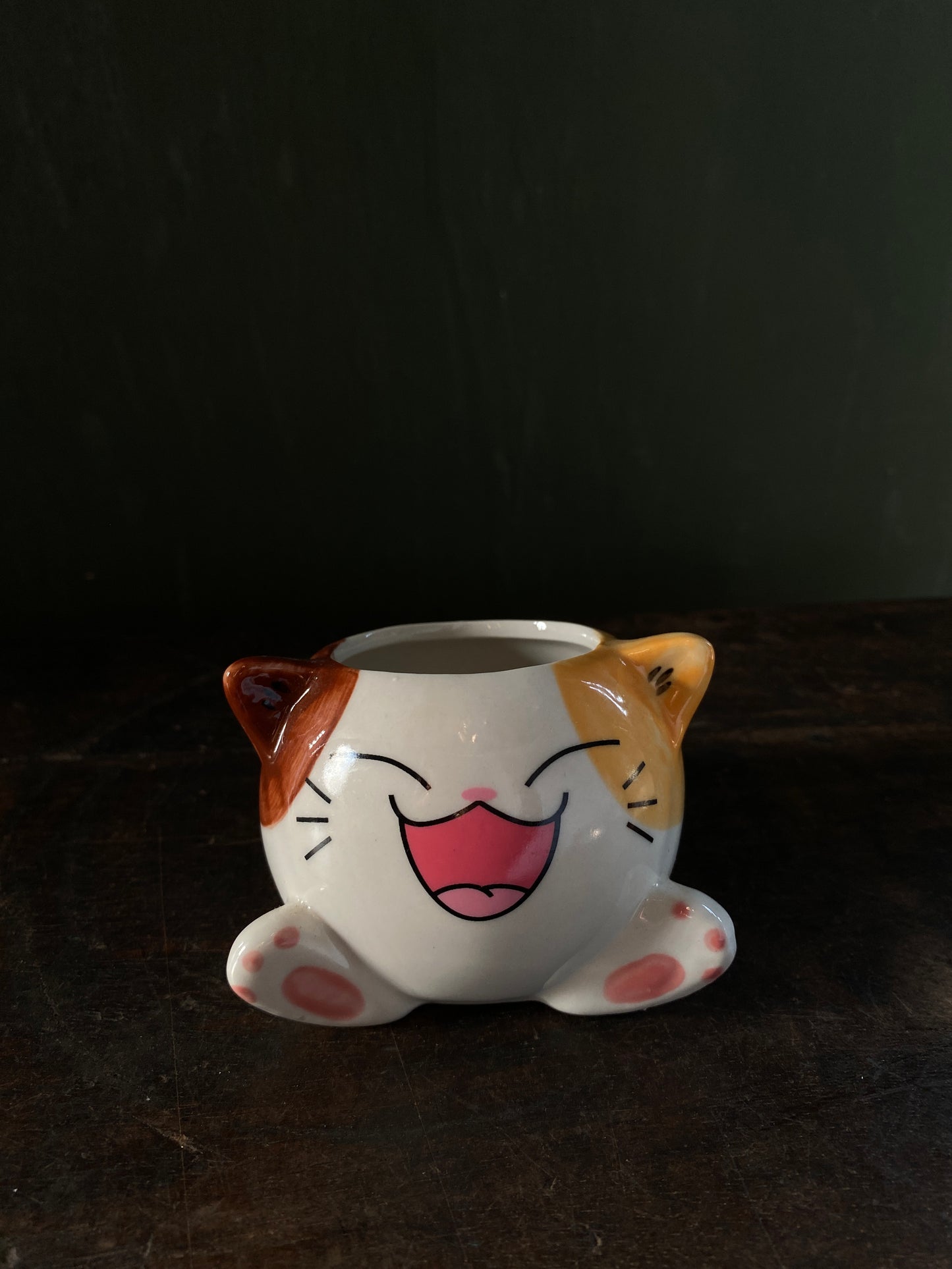 Cat ceramic planter