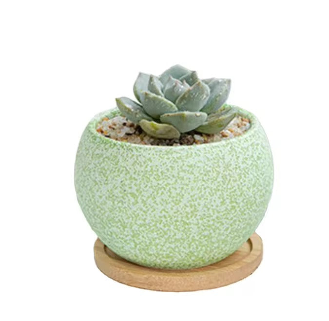 Green textured ceramic planter