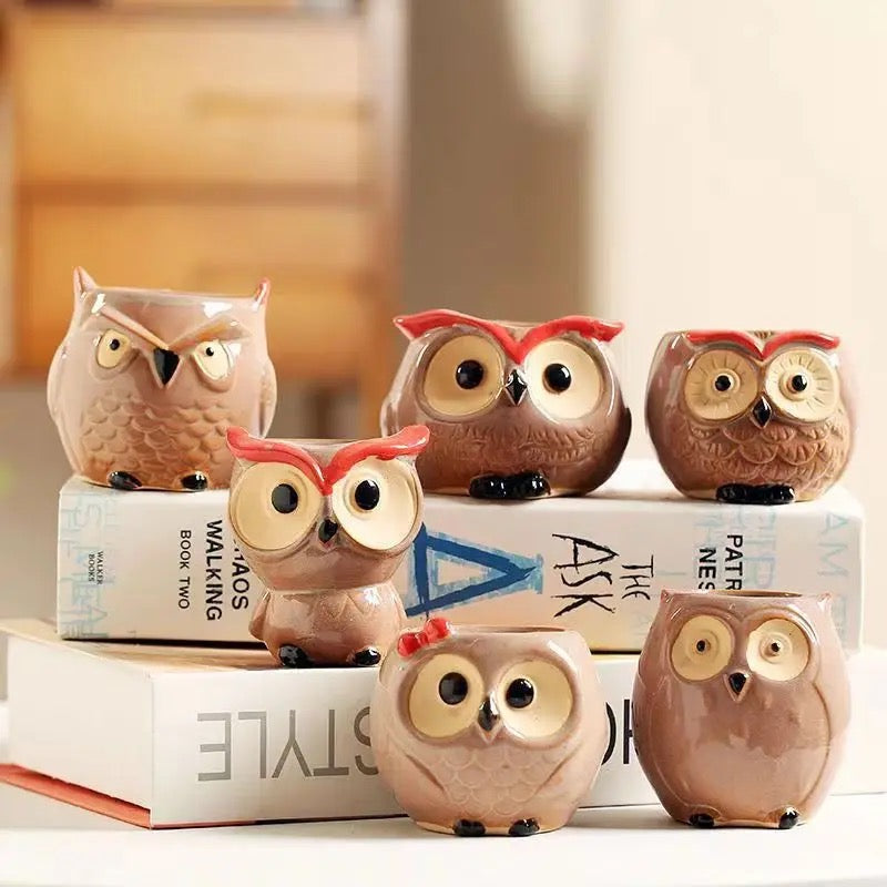Owl themed ceramic Pots (SET OF 6)